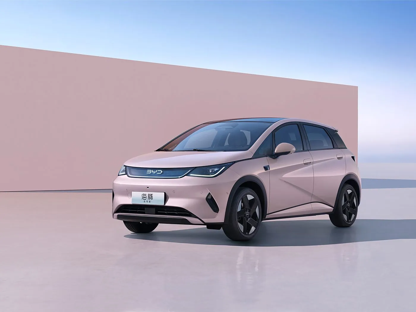 BYD Dolphin Urban Style Mini Electric Hatchback Fashion Edition with Smart Technology New Energy Vehicle